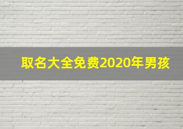 取名大全免费2020年男孩