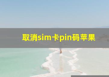 取消sim卡pin码苹果