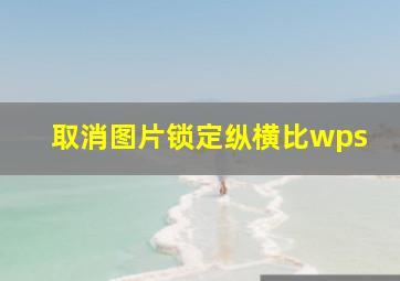 取消图片锁定纵横比wps