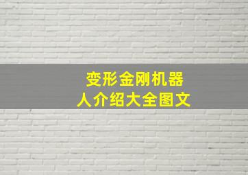 变形金刚机器人介绍大全图文