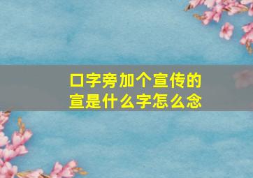 口字旁加个宣传的宣是什么字怎么念