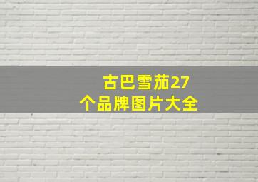 古巴雪茄27个品牌图片大全