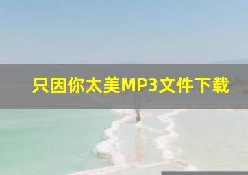 只因你太美MP3文件下载