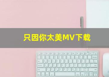 只因你太美MV下载