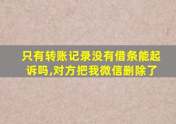 只有转账记录没有借条能起诉吗,对方把我微信删除了