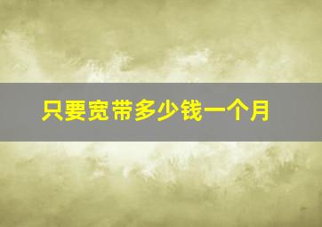 只要宽带多少钱一个月