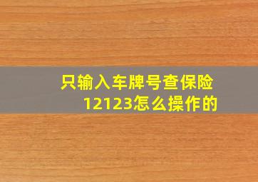 只输入车牌号查保险12123怎么操作的