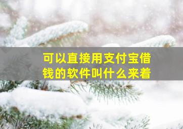 可以直接用支付宝借钱的软件叫什么来着