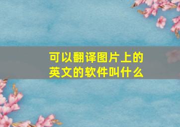 可以翻译图片上的英文的软件叫什么