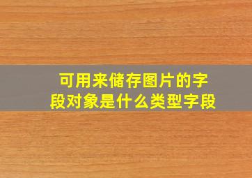 可用来储存图片的字段对象是什么类型字段