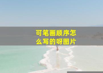 可笔画顺序怎么写的呀图片