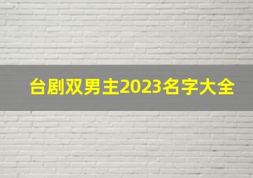 台剧双男主2023名字大全