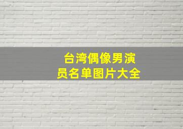 台湾偶像男演员名单图片大全