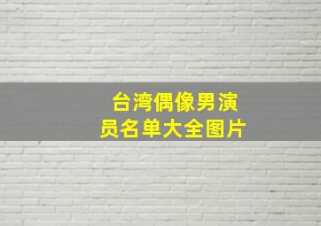 台湾偶像男演员名单大全图片