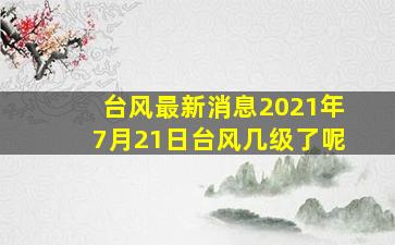 台风最新消息2021年7月21日台风几级了呢