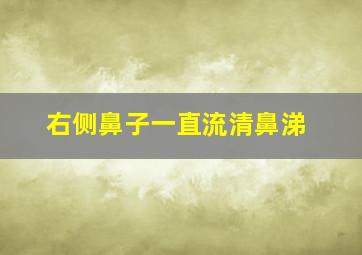 右侧鼻子一直流清鼻涕