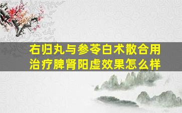 右归丸与参苓白术散合用治疗脾肾阳虚效果怎么样