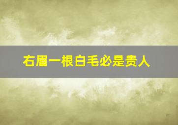 右眉一根白毛必是贵人