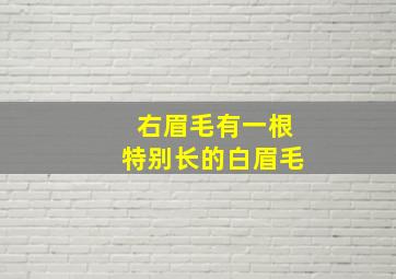 右眉毛有一根特别长的白眉毛