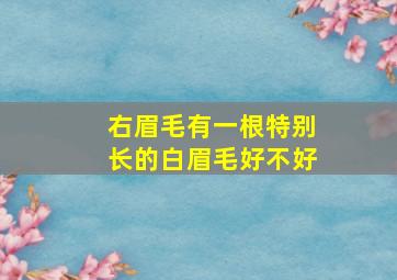 右眉毛有一根特别长的白眉毛好不好