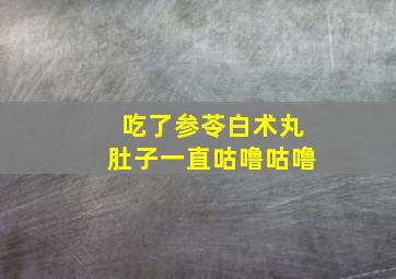 吃了参苓白术丸肚子一直咕噜咕噜