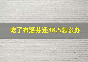 吃了布洛芬还38.5怎么办