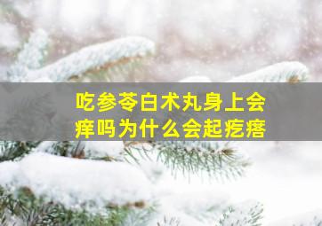 吃参苓白术丸身上会痒吗为什么会起疙瘩