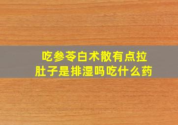 吃参苓白术散有点拉肚子是排湿吗吃什么药