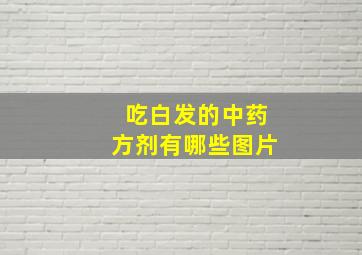 吃白发的中药方剂有哪些图片