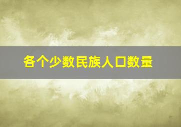 各个少数民族人口数量