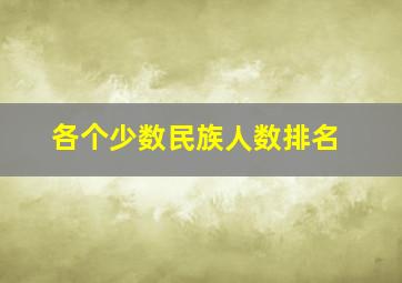 各个少数民族人数排名