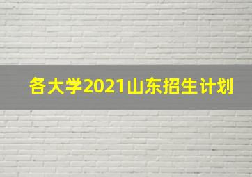 各大学2021山东招生计划