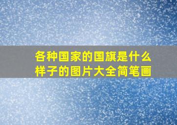 各种国家的国旗是什么样子的图片大全简笔画