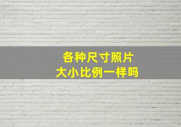 各种尺寸照片大小比例一样吗