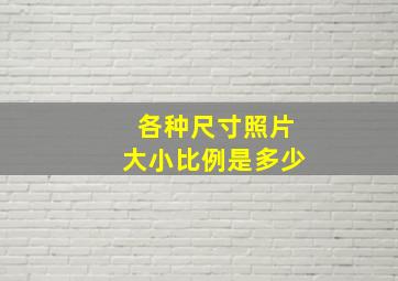 各种尺寸照片大小比例是多少