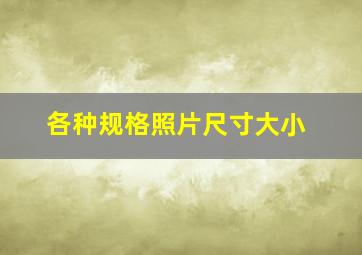 各种规格照片尺寸大小