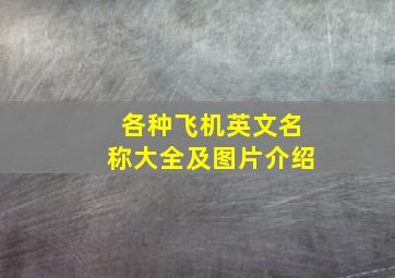 各种飞机英文名称大全及图片介绍