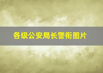 各级公安局长警衔图片