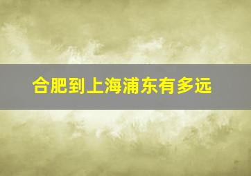 合肥到上海浦东有多远