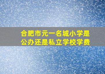 合肥市元一名城小学是公办还是私立学校学费