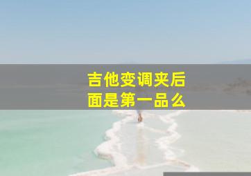 吉他变调夹后面是第一品么