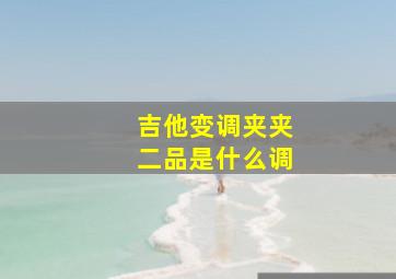 吉他变调夹夹二品是什么调