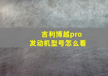 吉利博越pro发动机型号怎么看