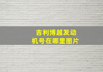 吉利博越发动机号在哪里图片