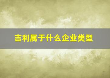 吉利属于什么企业类型