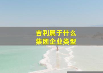 吉利属于什么集团企业类型