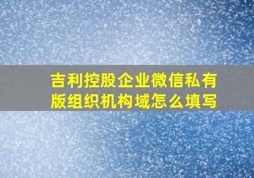 吉利控股企业微信私有版组织机构域怎么填写