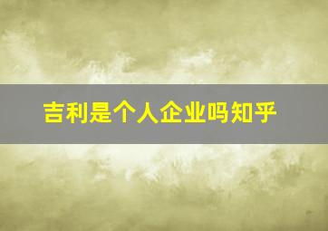 吉利是个人企业吗知乎