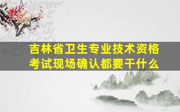 吉林省卫生专业技术资格考试现场确认都要干什么