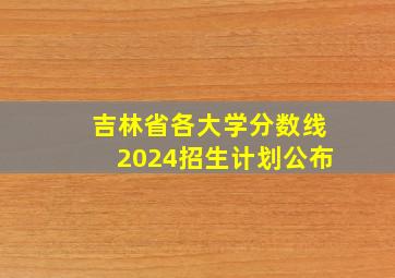 吉林省各大学分数线2024招生计划公布